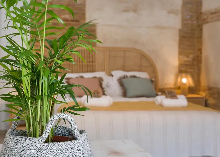 La Casa De Flores 3*